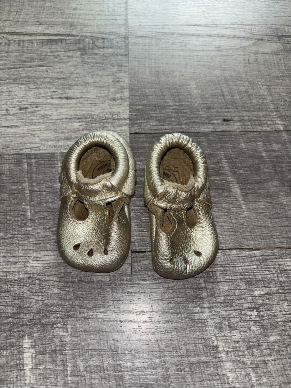 Freshly Picked Platinum Mary Jane Baby Shoe